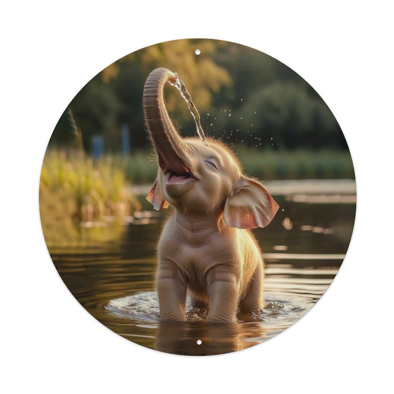 Animal Baby Asian Elephant Playing Splashing Water Happy Cute Vintage Metal Tin Sign Plaque Wall Decor for Cafe, Club Bar, Office, Garden Metal Poster 8x8Inch