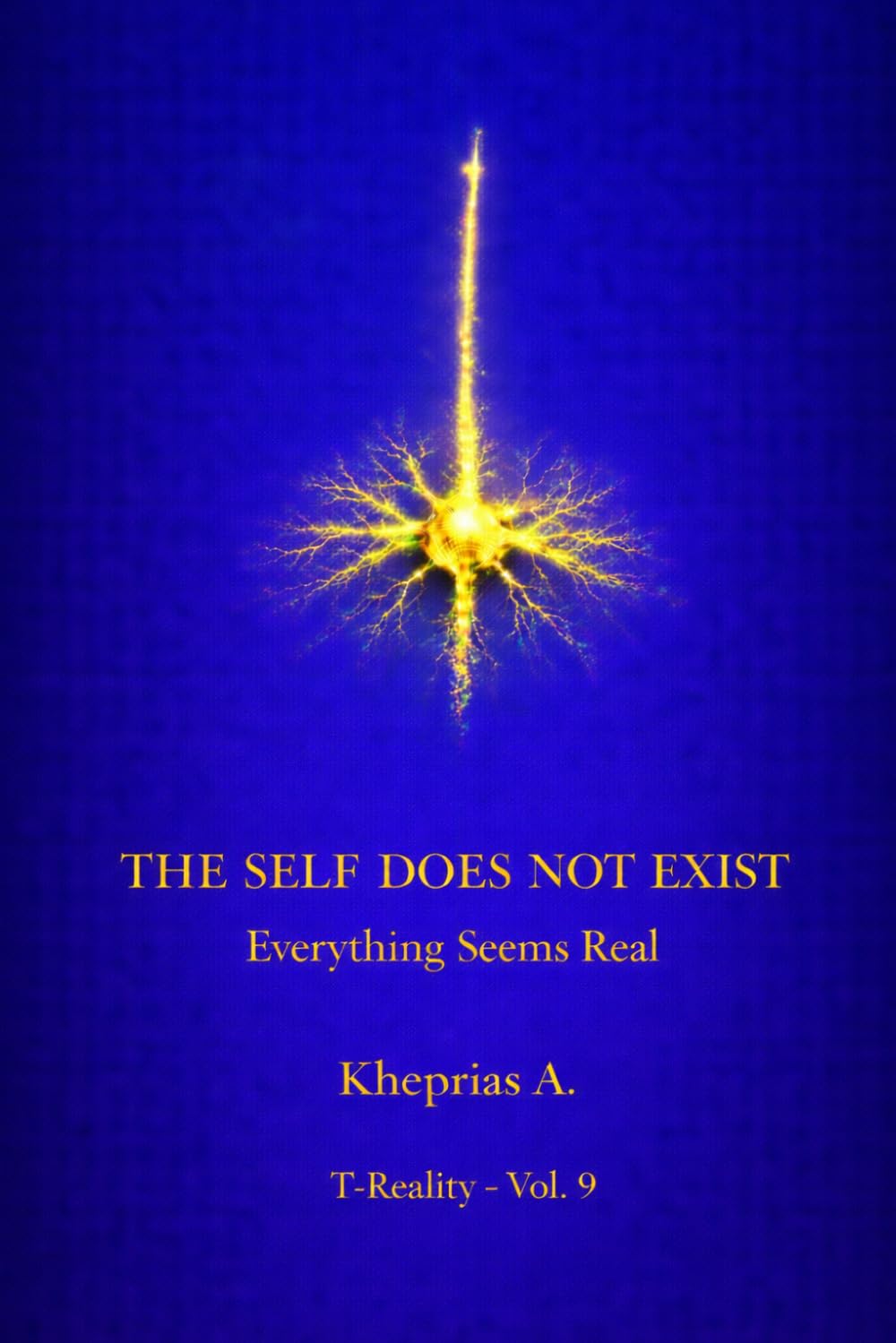 Cognitive Transparency: Why the Self Appears Real: 9 (Series: T-Reality – Philosophy of Mind and Neurophilosophy)