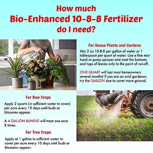 Best Non Toxic Lawn Fertilizers Top Picks