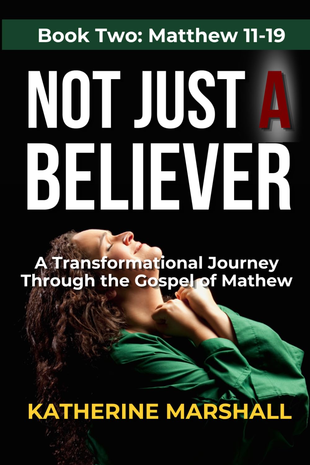 Not Just A Believer: A Transformational Journey Through the Gospel of Matthew Book Two: 2