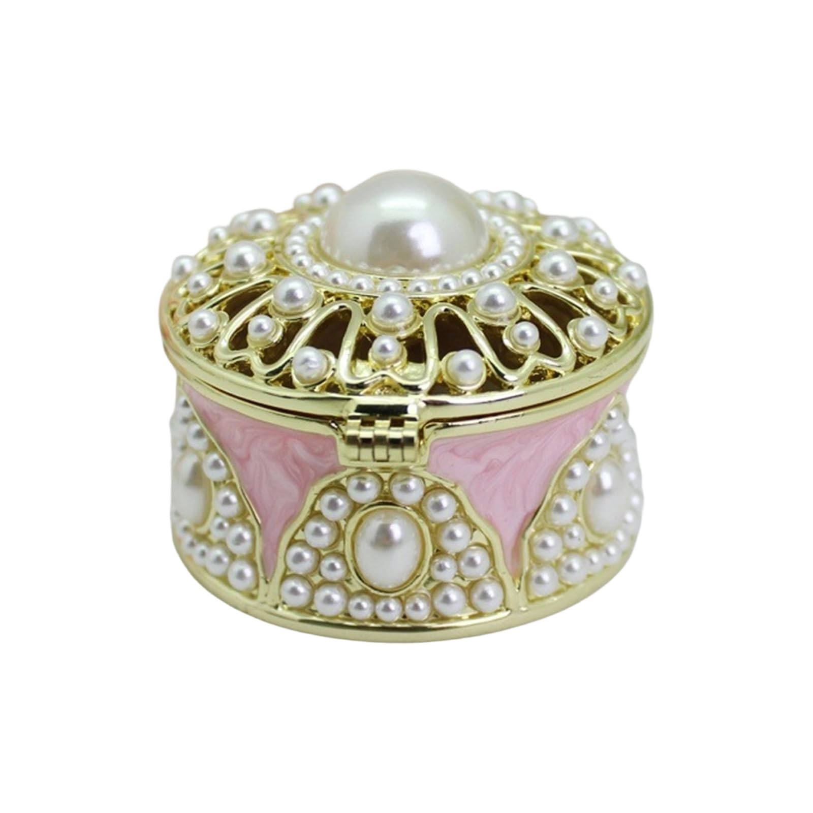 Msioytog Portable Jewelry Case Beautiful Jewelry Box Business Presentation Box for Women Earrings Rings and Necklaces Modern Accessory Planner