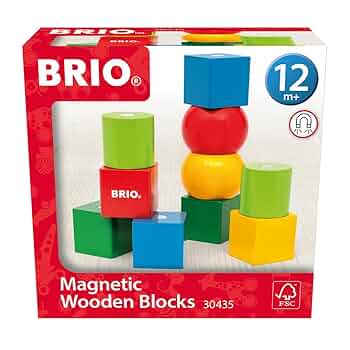 Amazon | BRIO（ブリオ）マグネット式カラーつみき 30435