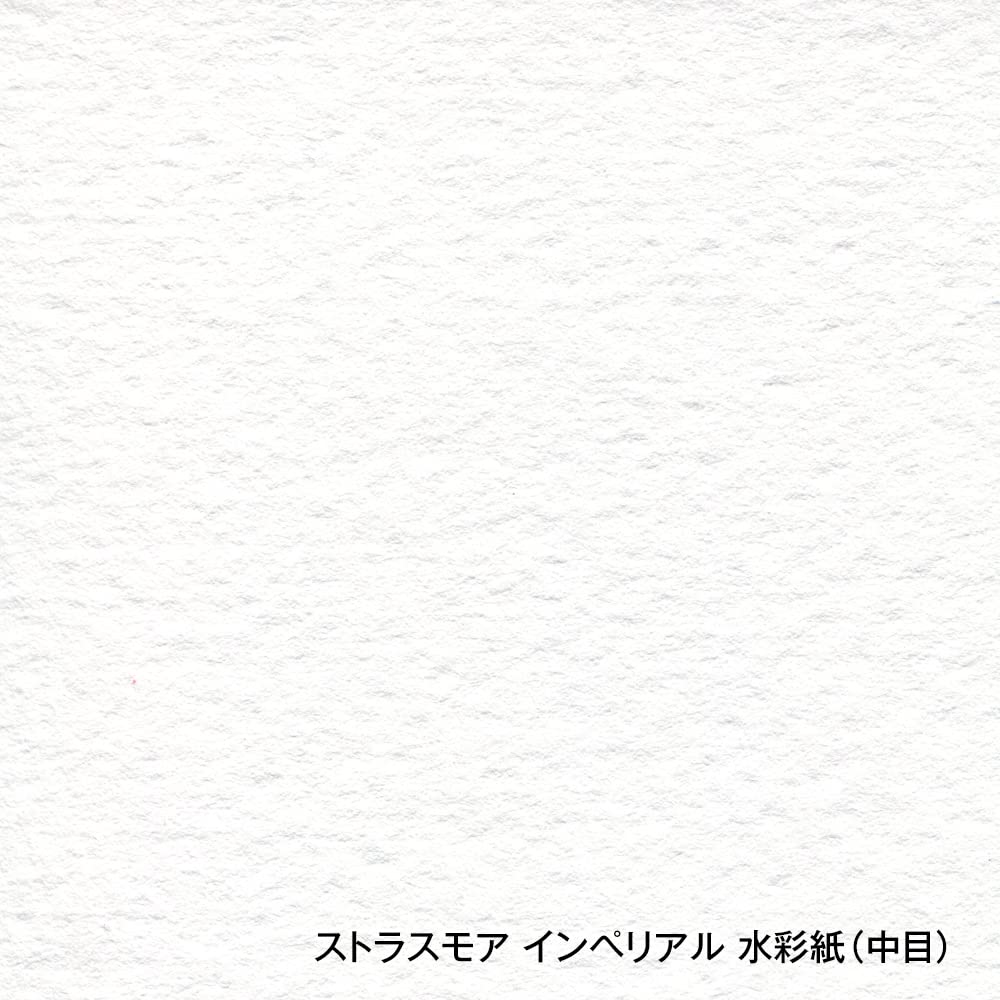 Amazon.co.jp: ホルベイン ストラスモア インペリアル水彩紙 IS-F8 中