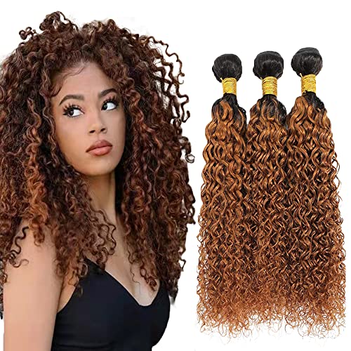 20 22 24 Inch Ombre Human Hair Bundles 1b/30 Curly Hair Bundles 8A Unprocessed Brazilian Kinky Curly Hair Bundles Brown
