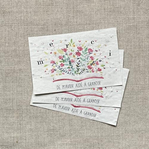 Lot de 10 mini cartes à planter "Merci de m'avoir aidé a grandir"