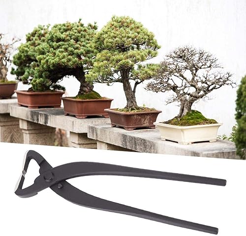 Miniatura 4 de Tijeras de planta de acero de calidad Divisor de tronco Tijera Principiante Bonsai Modelado Herramientas 8.268 in para Jardín Trabajo