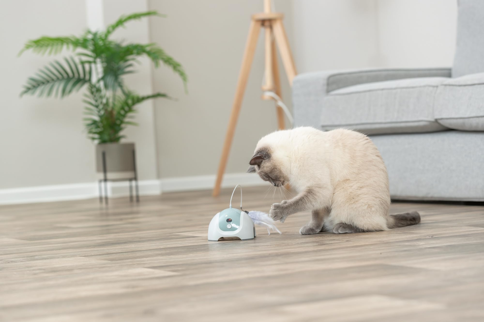 Trixie Catch me with Motor and Remote Control Interactive Cat Toy 4