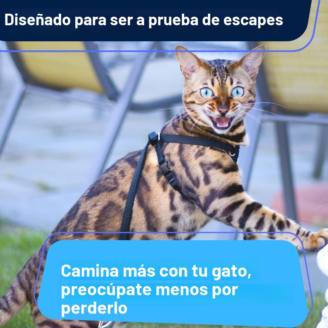 Houdini™ - Juego de arnés y Correa de Piel Vegana a Prueba de Escape para Gatitos de OutdoorBengal para pasear (S)