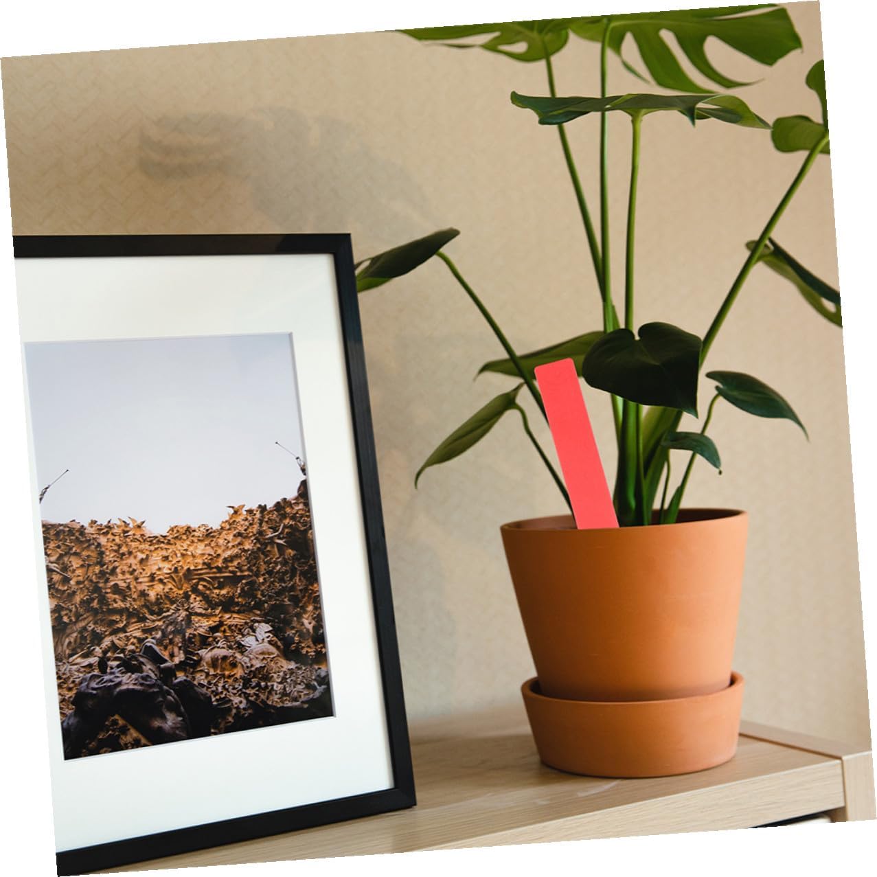 Housoutil 600pcs Plastic Plant Labels Garden Markers with Stakes, Waterproof Small Plant Tags 10x1.8cm, Multi-Color for Outdoor Gardening and Nursery Use