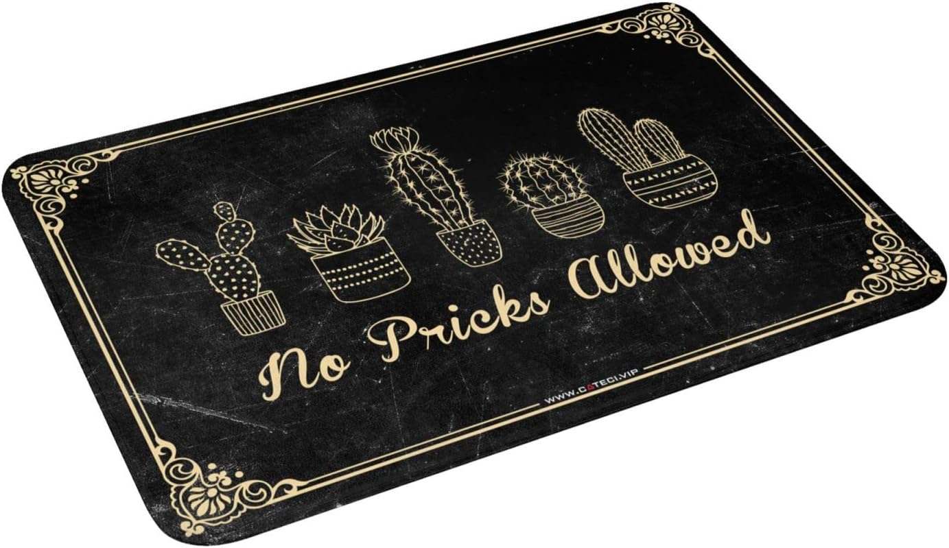 Funny Entry Doormat No Pricks Allowed Rug Summer Outdoor Mat Outside Fall Door Mat (Size : 40X60CM)