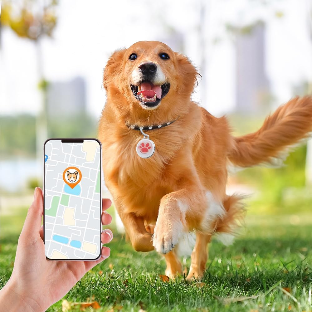 3 mini localizzatori GPS per cani e gatti, senza canone mensile, compatibile con iOS/Android, dispositivi di localizzazione in tutto il mondo, adatti per animali domestici o bagagli, dispositivi