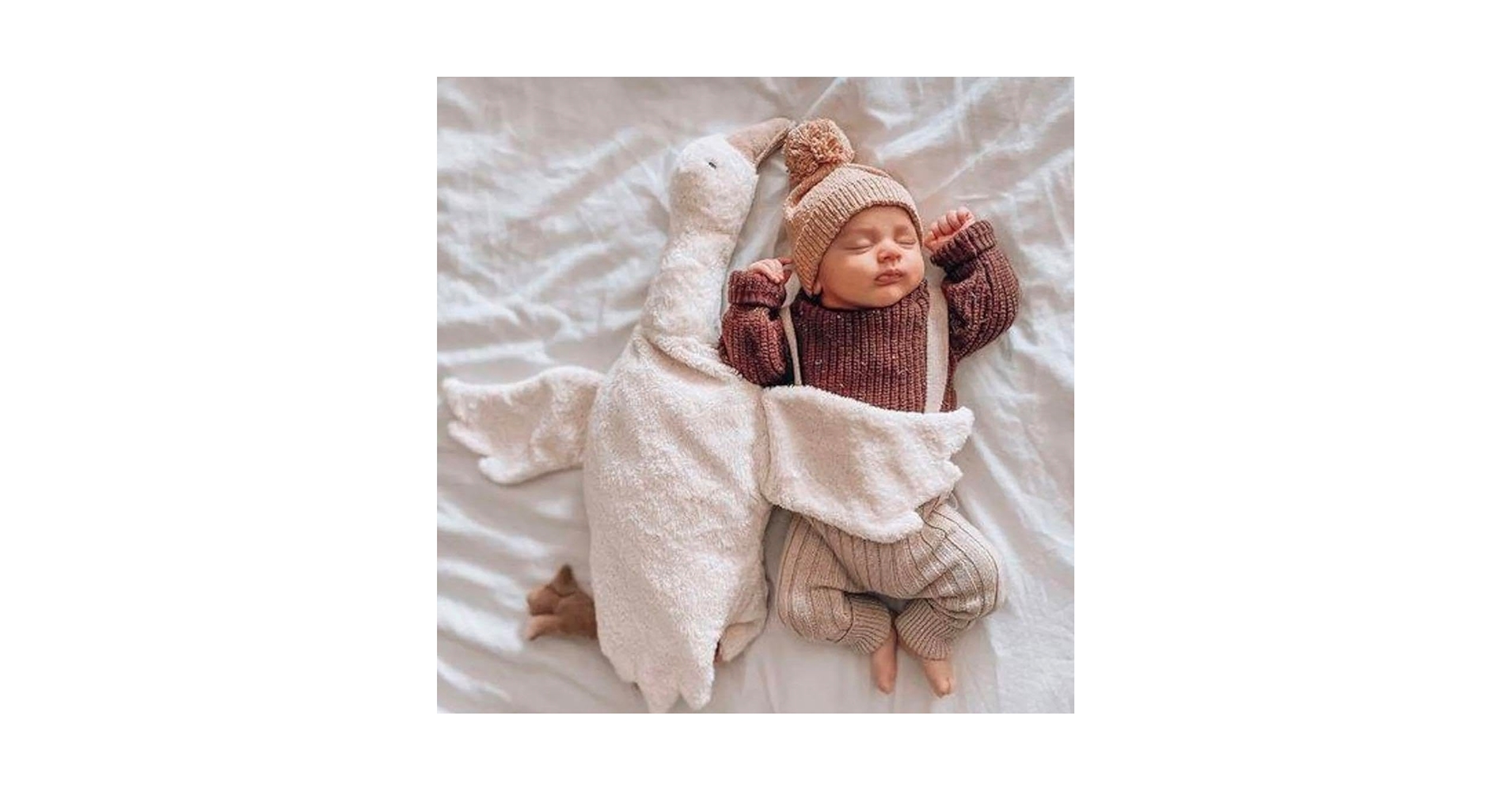 Amazon.co.jp: Senger Naturwelt ガチョウ ゼンガーナチュ