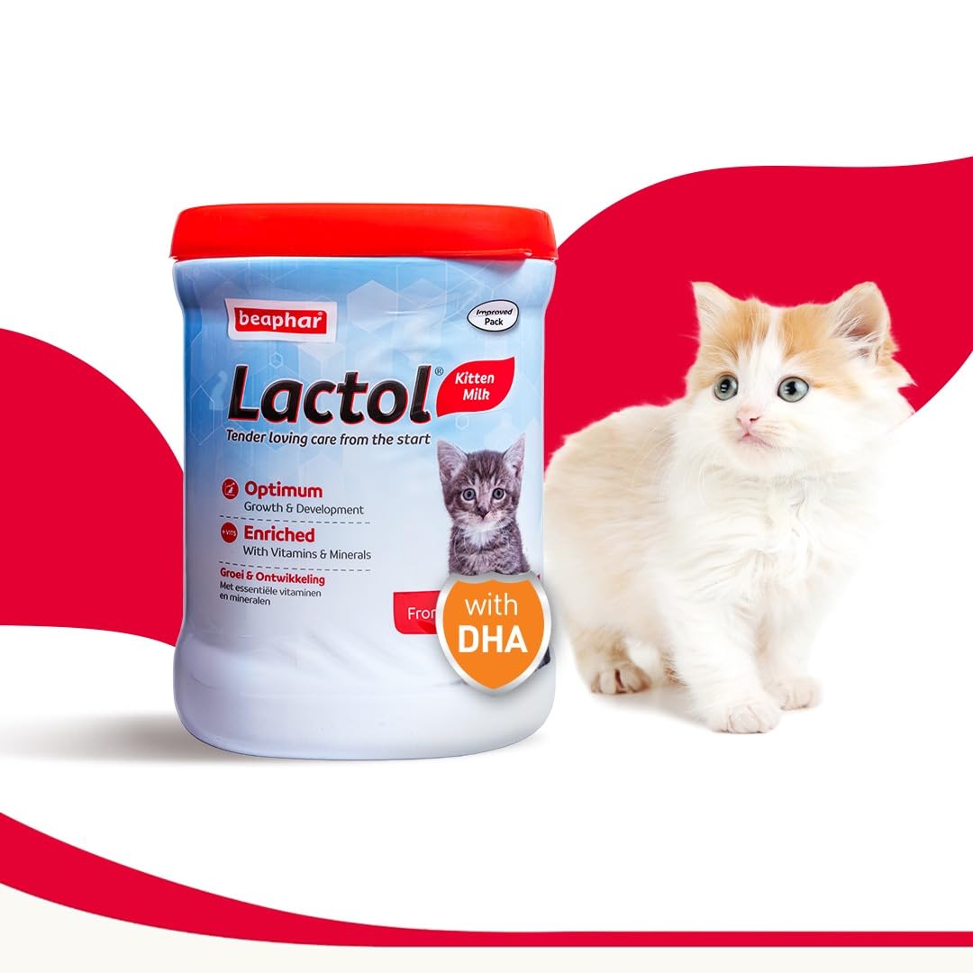 Beaphar Lactol Newborn Kitten Milk Food with DHA, Vitamins & Minerals, Kitten Milk Replacer, Free Lactol Feeding Set - 400g (B0D7ZQH5JX) Amazon Price History, Amazon Price Tracker