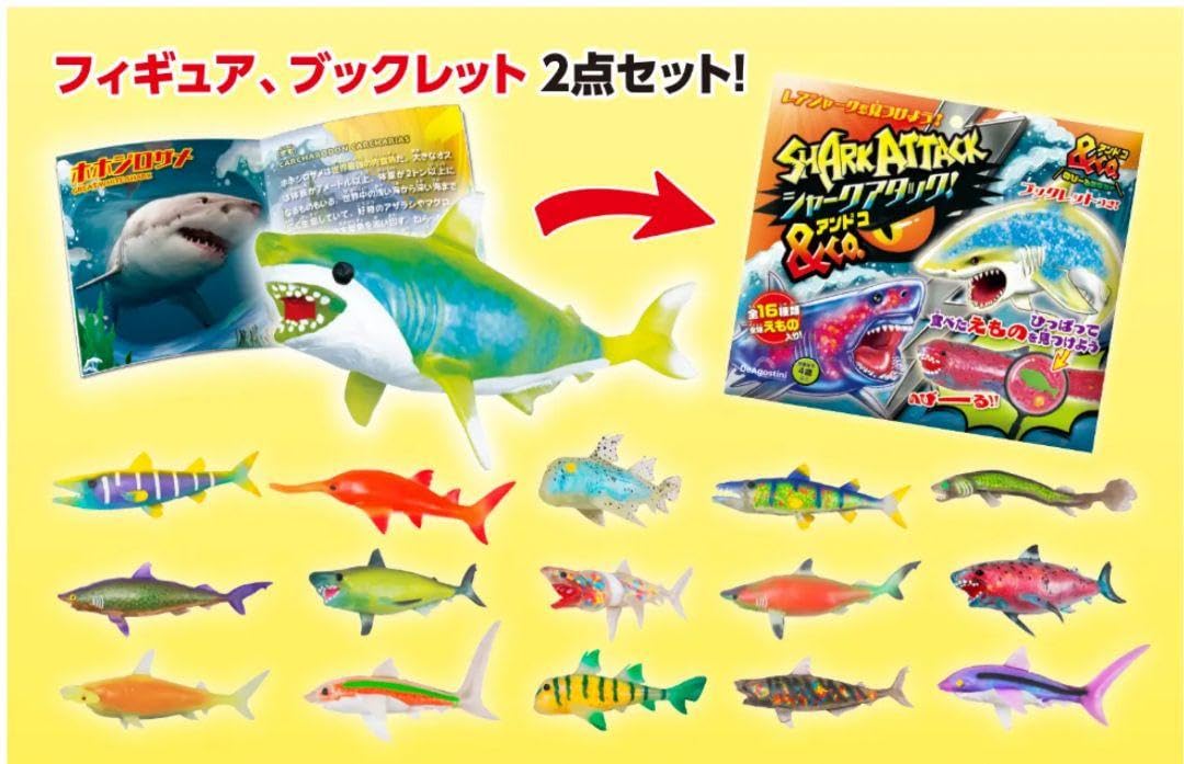 Amazon.co.jp: 《 完全 》シャークアタック co. ホワイトフィン
