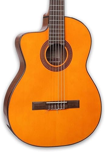 Takamine Guitarra eléctrica acústica para zurdos con cuerda de nailon GC1CE