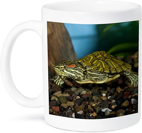 3dRose Taza de cerámica con diseño de tortuga con orejas rojas ornamentadas, David Northcott, 11 onzas, color blanco