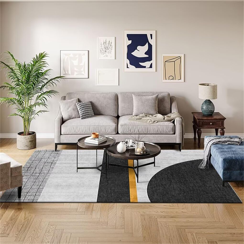 Tapis et moquettes 70x140cm antisalissure lavable pour salon