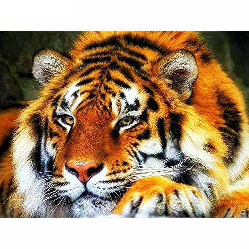 Kit peinture diamant 5d complet tigre grand format 70x160cm pour broderie point de croix