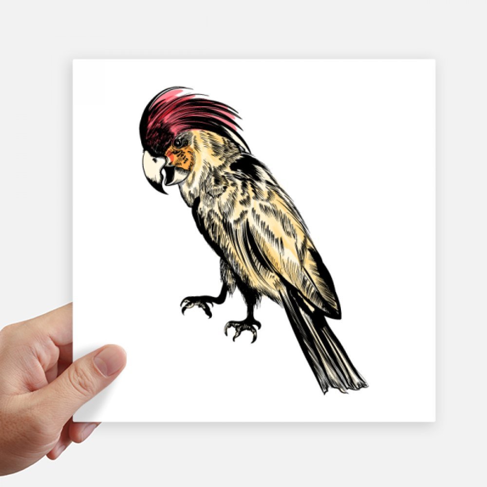 Decal perroquet jaune oiseau multicolor pour customisation moto et mur 20cm