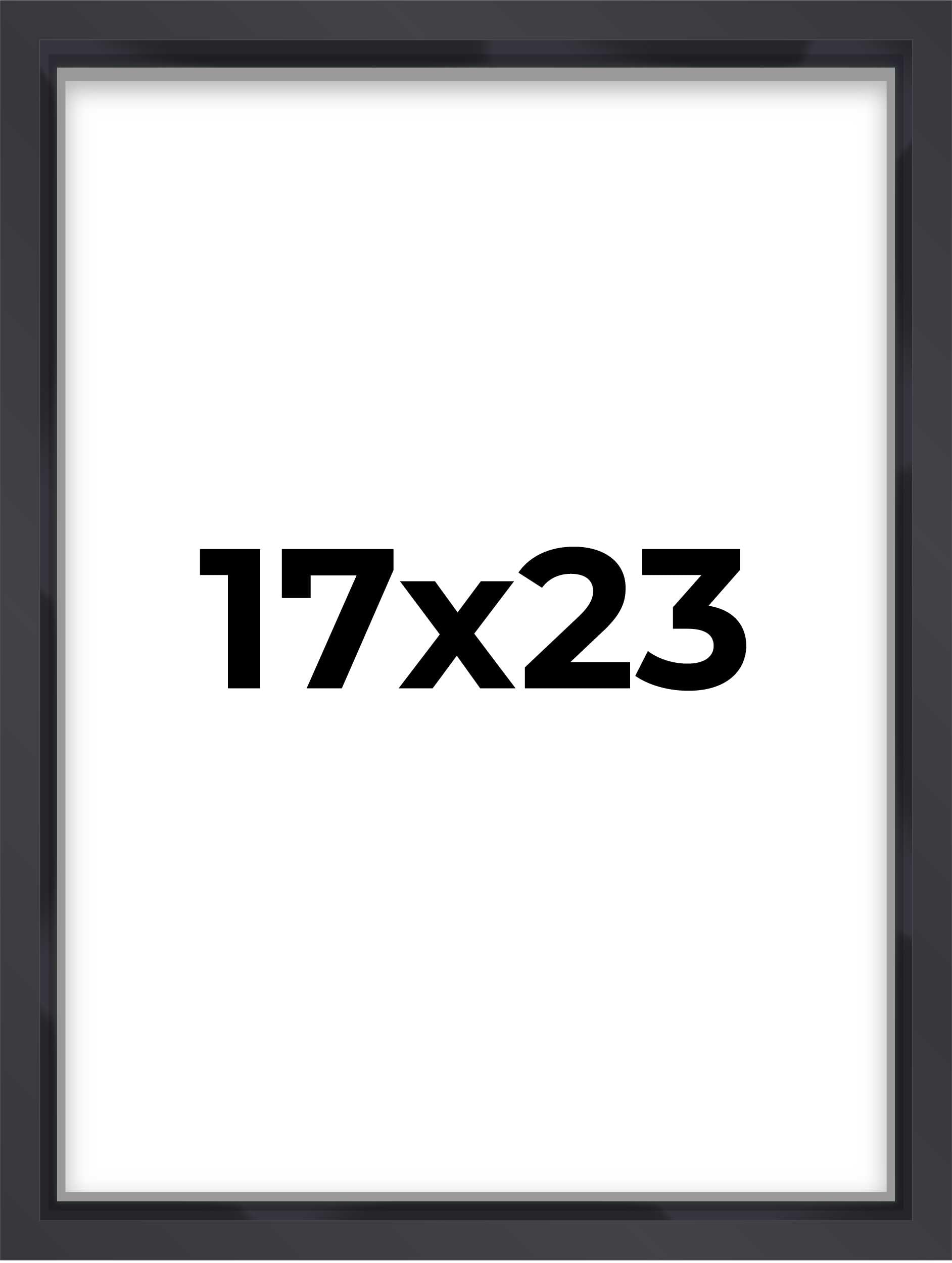 Poster Palooza 17x23 Shadow Box Frame in Contemporary Black