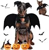 Halloween Dog Costume, Puppy Bat Wings Costumes, Pet Funny Cosplay Apparel Outfit, Doggy Batwings with Dog Leash and Pumpkin Bells for Small Medium Dogs and Cats