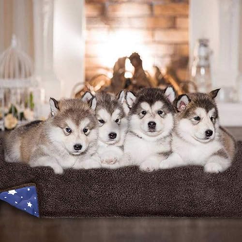 Miniatura 6 de Tapete impermeable para perros y gatos, tapete lavable de alimentación de mascotas, almohadillas reutilizables para entrenamiento de cachorros,