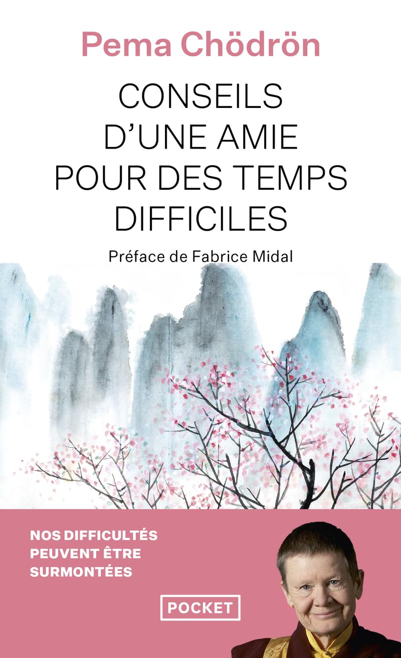 Conseils d'une amie pour des temps difficiles (Evol - spiritualité/philosophie): Quand tout s'effondre