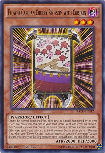 Amazon.com: Yu-Gi-Oh! - Flower Cardian Cherry Blossom with Curtain