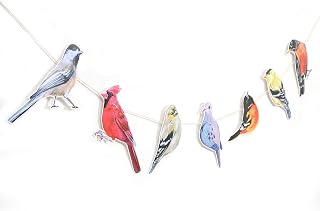 Song Birds Banner - Rustic Bird Birthday Party Decorations, Vintage Farmhouse Animals Party Supplies, Bird Watcher Baby Shower Garland, Song Birds Cake Smash Photo Props