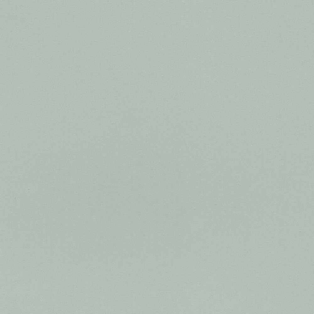 Mary Carol Paint with Matte Finish - Front Porch