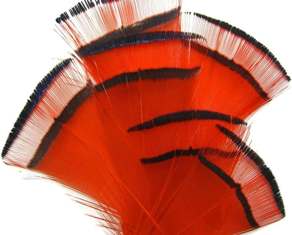 Orange Golden Pheasant Tippet Feather, 1 Dozen