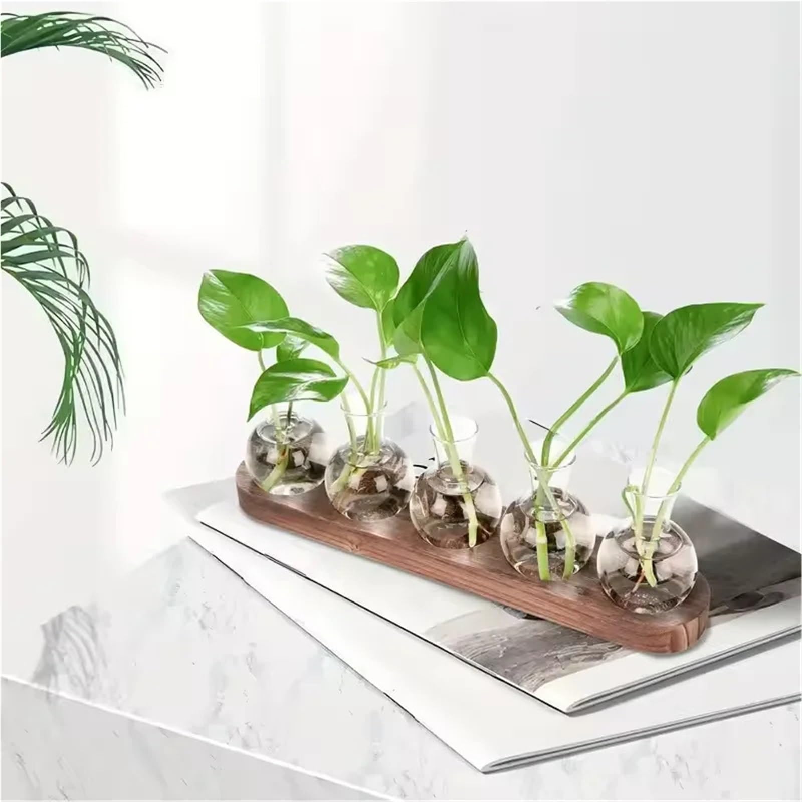 Vase Hydroponique Verre Terrarium en Verre for Plantes avec Plateau Bois – for Vase hydroponique de Propagation intérieur, décoration Bureau, Maison(Size A)