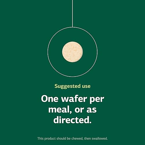 Miniatura 5 de Proceso estándar de levadura de ácido láctico - Suplemento dietético para la salud digestiva y apoyo intestinal - Sin soja y vegetariano - 100 obleas