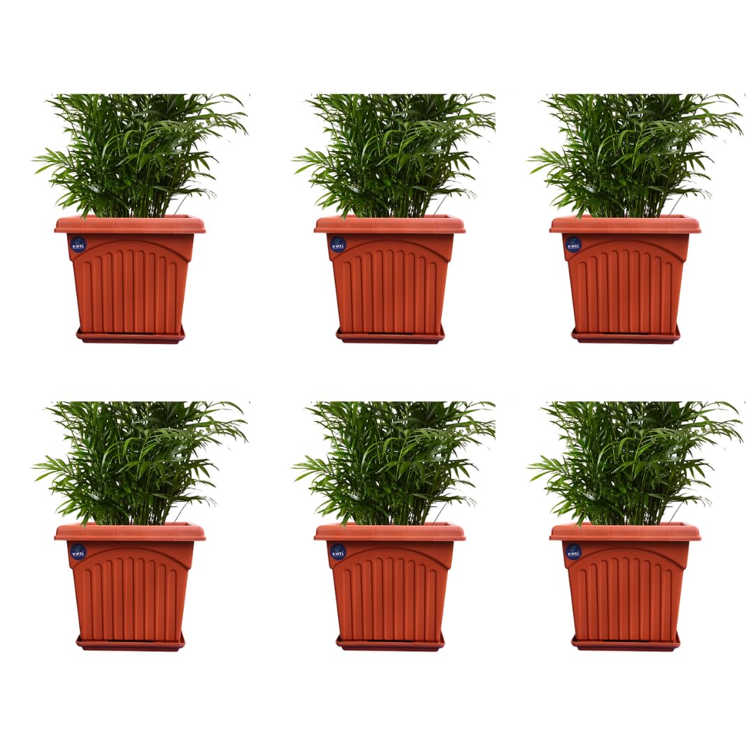 See full amazon price history chart for KWEL UV Treated Square Plastic Planter with Tray (8 inches) - Brown Color Pack of 6 KWEL UV Treated Square Plastic Planter with Tray (8 inches) - Brown Color Pack of 6 (B08TWV7MSQ) Amazon Price History, Amazon Price Tracker