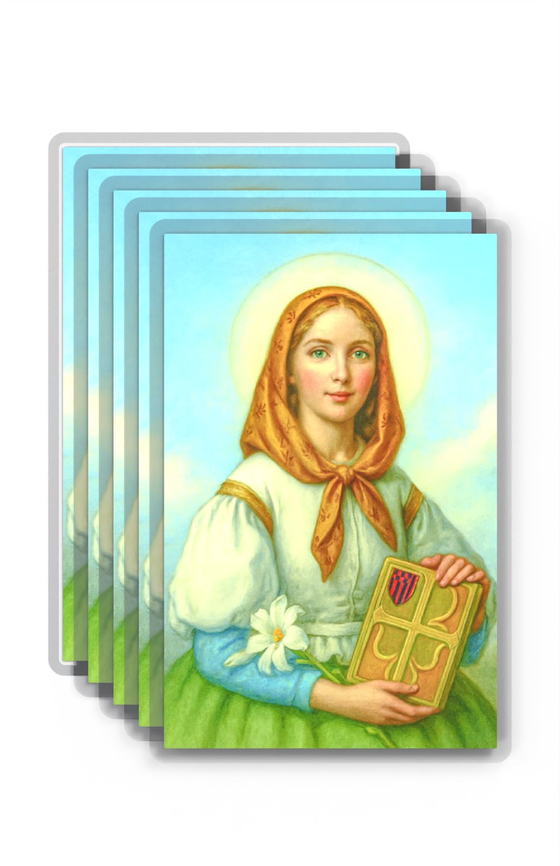 Shepherd's Grace St Dymphna Prayer Cards Laminated Wallet 5 Pack
