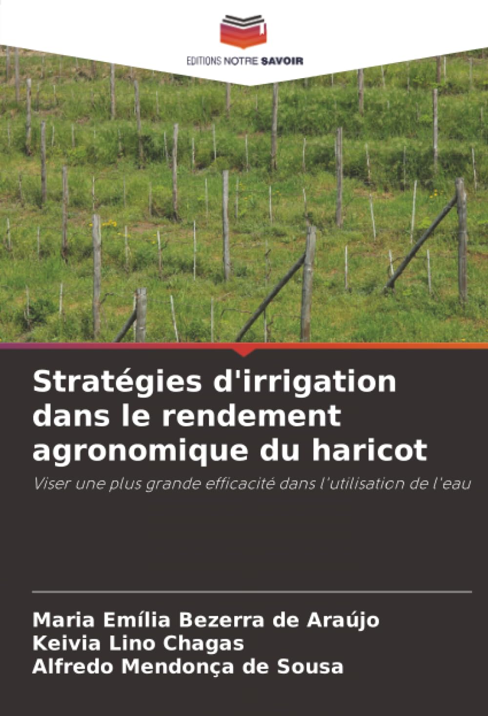 Stratégies d'irrigation dans le rendement agronomique du haricot: Viser une plus grande efficacité dans l'utilisation de l'eau