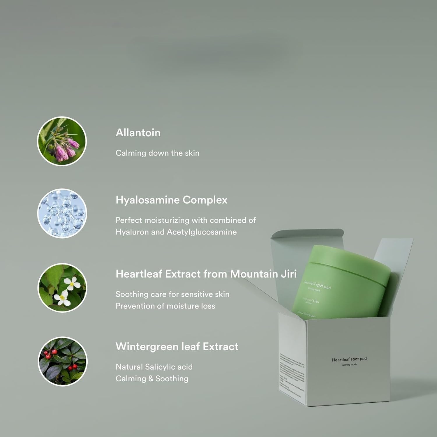Abib Heartleaf Spot Pad Calming Touch - 80 cuscinetti