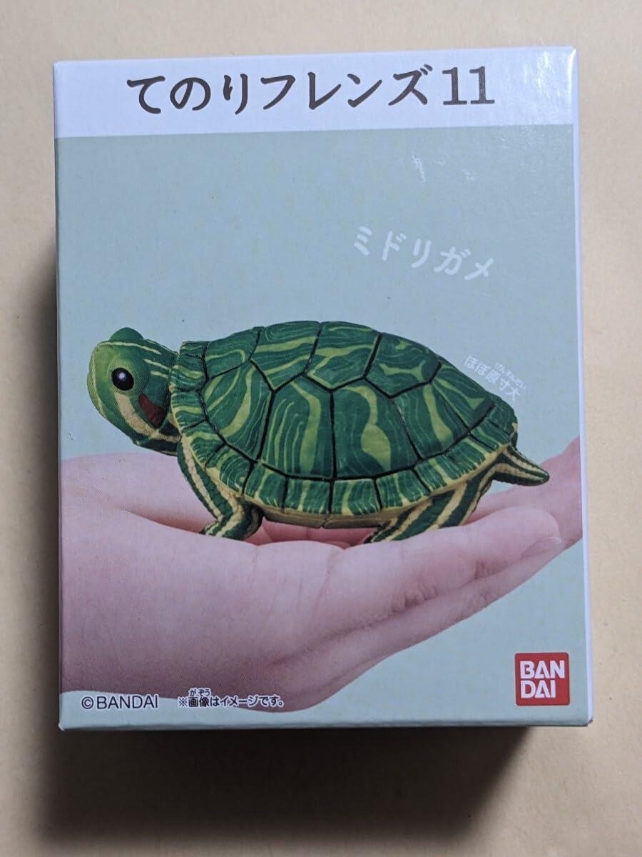 亀です Amazon.co.jp: てのりフレンズ11 ミドリガメ 食玩 フィギュア カメ 亀