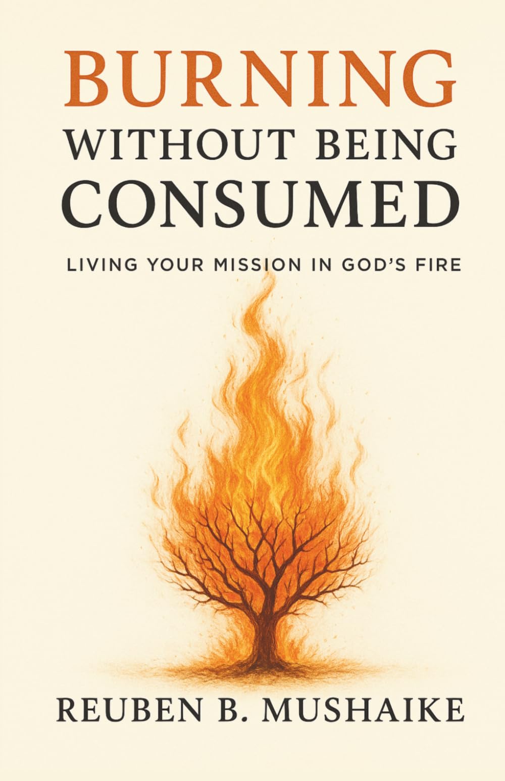 Burning Without Being Consumed: Living Your Mission in God’s Fire (The Trinity Trilogy)
