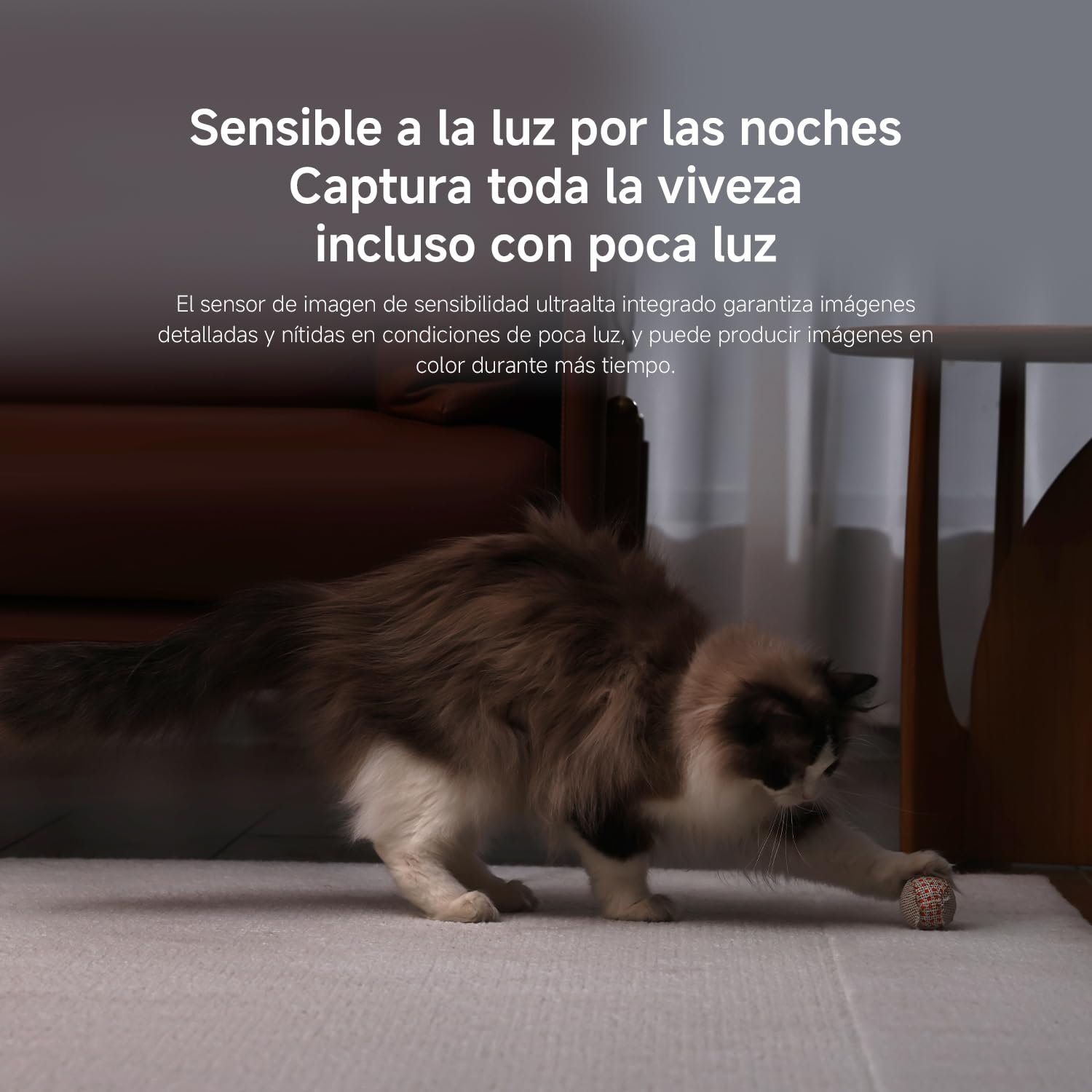 Cámara de Videovigilancia Xiaomi Smart Camera C500/ Visión Nocturna/ Control desde APP