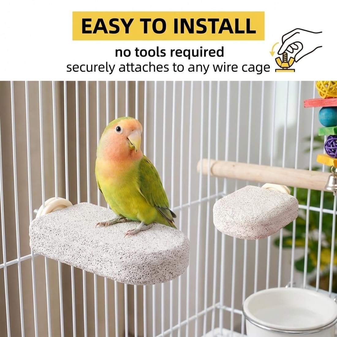 Lot de 2 Supports pour Os de Seiche Oiseaux, Pince Porte-Nourriture pour Cage, Clip de Fixation Fruits et Légumes, Accessoires pour Perruches, Canaris et Perroquets