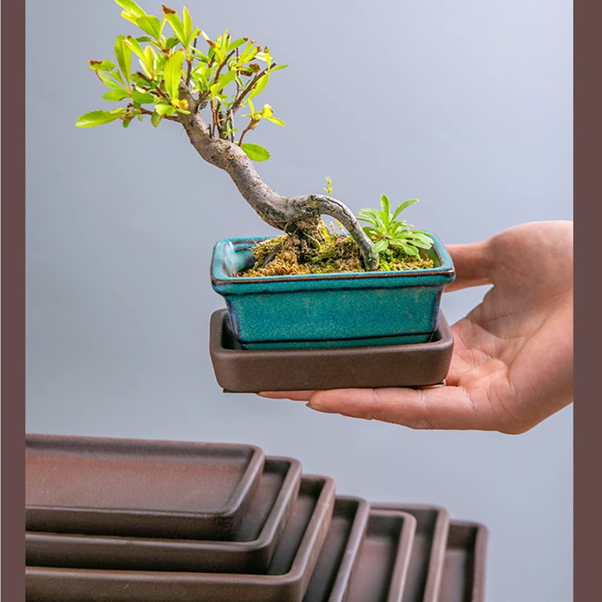 Platillo Rectangular Para Macetas GLFLOW - Bandeja De Goteo De Resina, Marrón, Ideal Para Plantas De Interior
