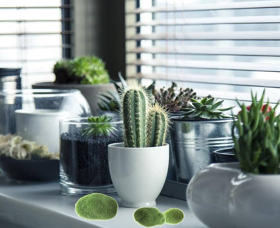 専用＊エアプランツ＆グリーン　 フェイクコ苔玉 専用＊エアプランツ＆グリーン フェイクコ苔玉 専用＊エアプランツ