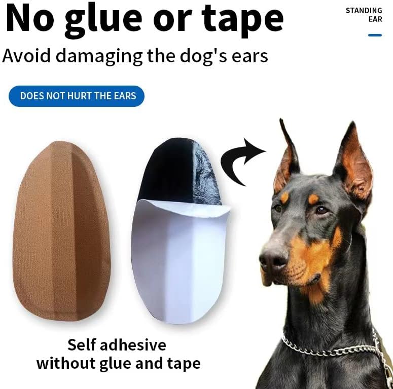 Why Do You Glue Dogs Ears