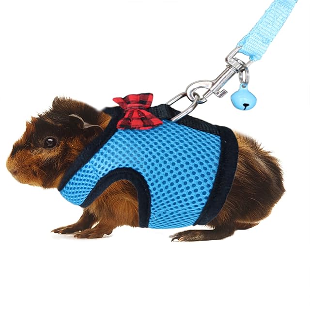 Rypet Arnés y correa de conejillo de indias, arnés de malla suave para animales pequeños con campana segura