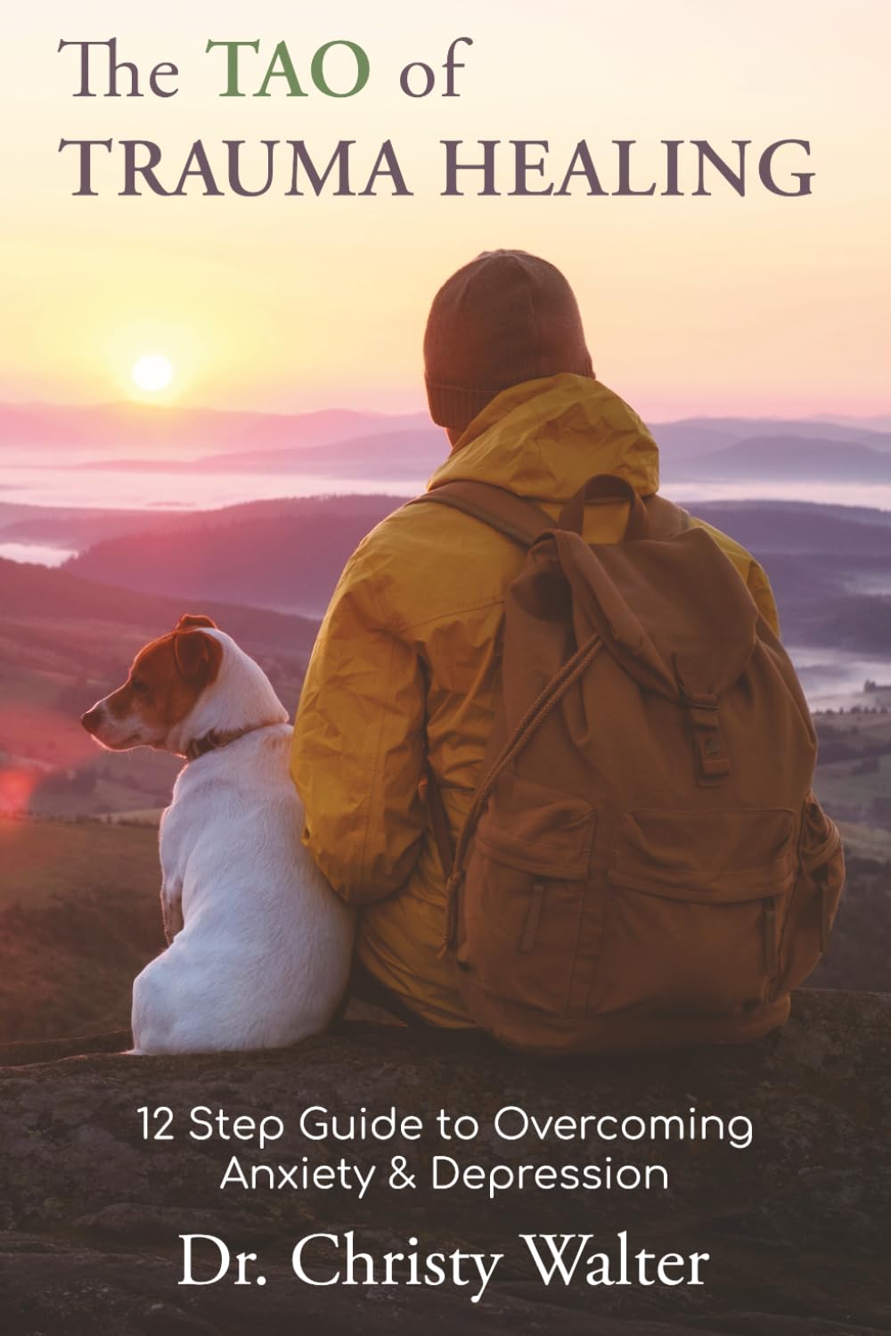 The TAO of Trauma Healing: 12 Step Guide to Overcoming Anxiety & Depression