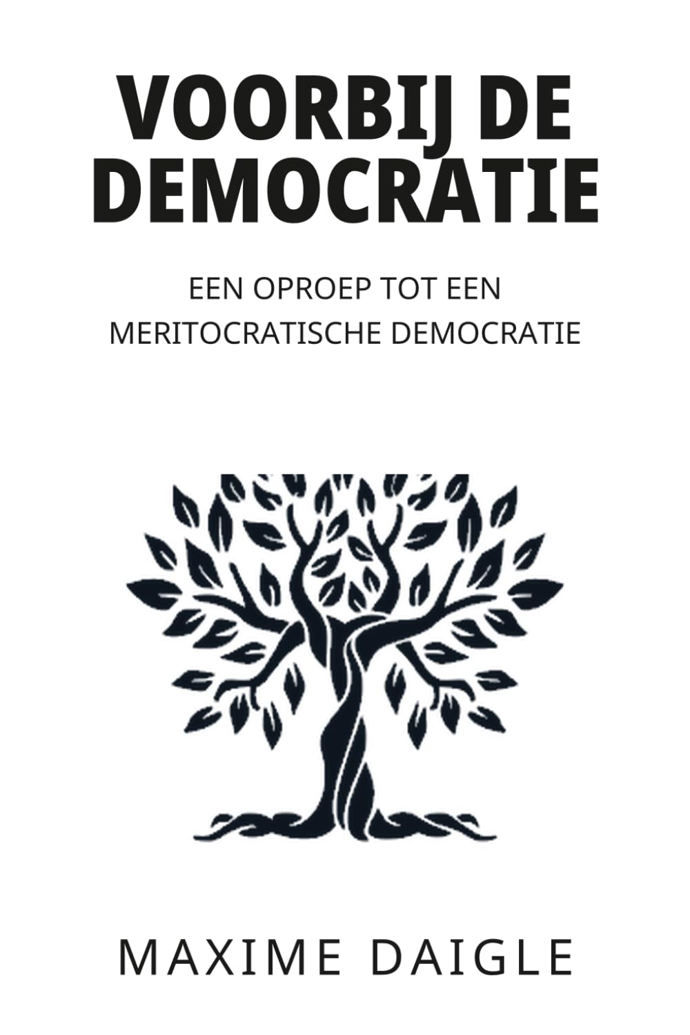 Voorbij de democratie: Een oproep tot een meritocratische democratie