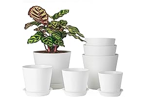 LaDoVita Plastic Indoor Planting Pots 7-Pack On Sale