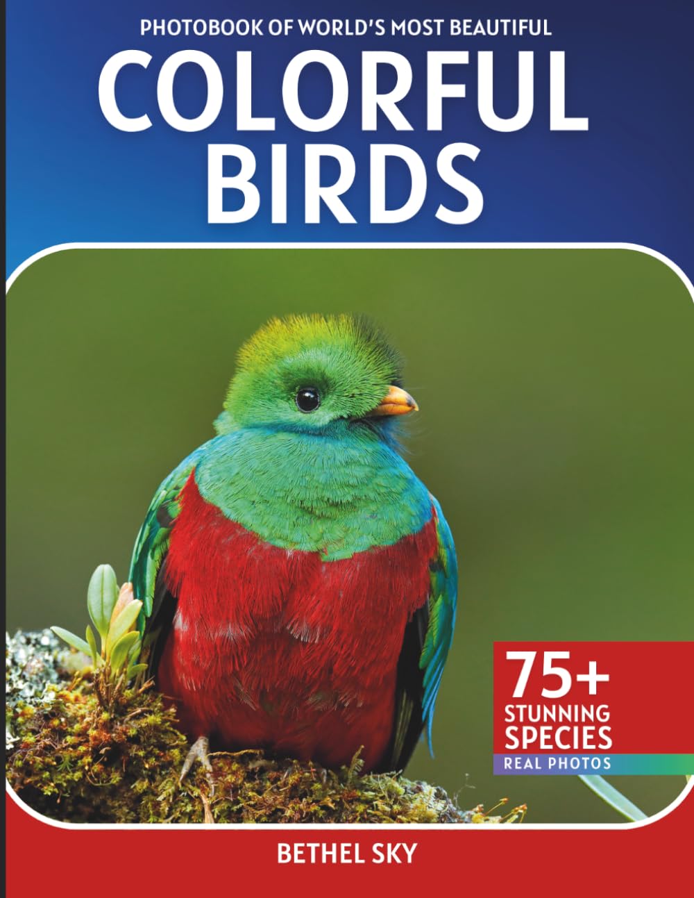 Colorful Birds Photobook: A Stunning Visual Journey Through the World's Most Vibrant Birds