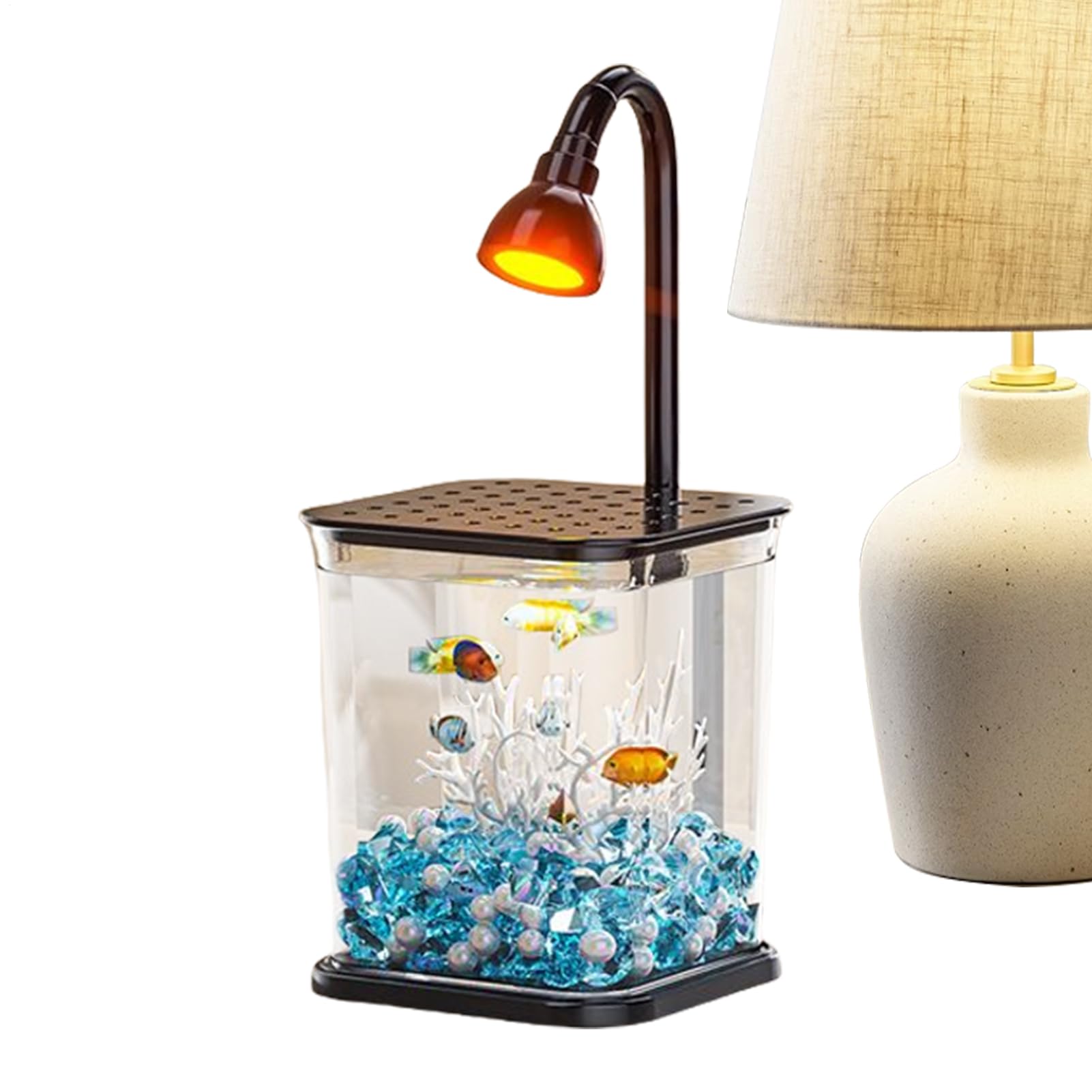 Petit bocal à poisson avec aménagement aquatique pour crevettes